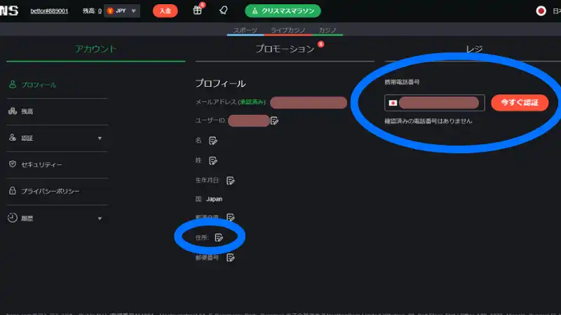 ボンズカジノ 登録