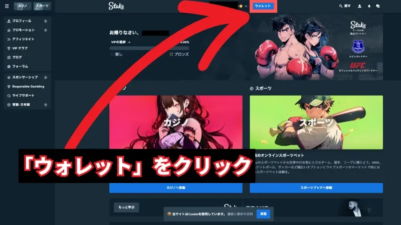ステークカジノ 出金方法
