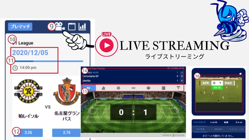 BeeBet ビーベット ライブストリーミング