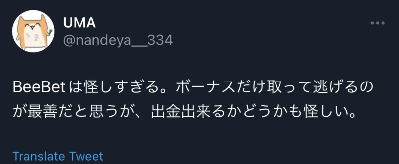 BeeBet 評判 口コミ