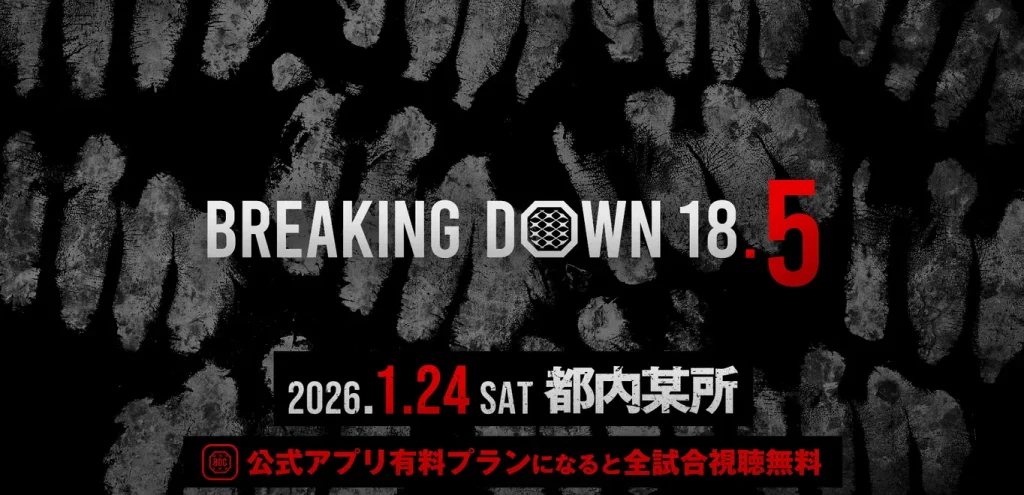 ブレイキングダウン18.5